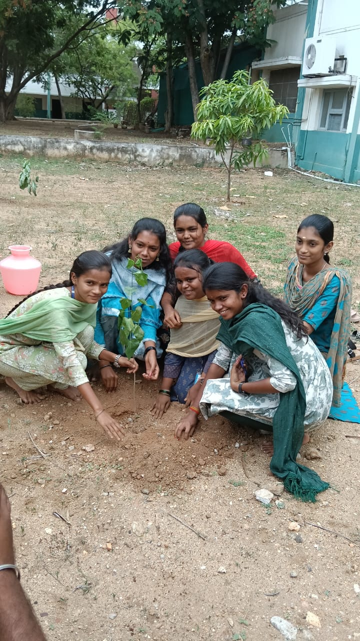 Manpumigu Marangal Kuloo